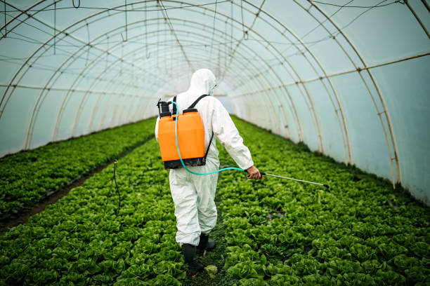 Pest Control Cost in Belmont, VA