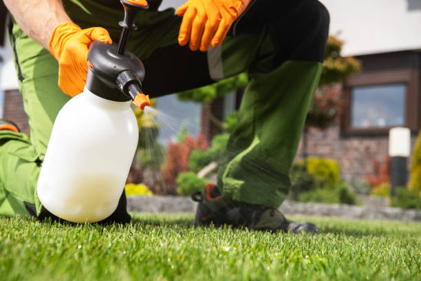Best Cockroach Control Services  in Belmont, VA