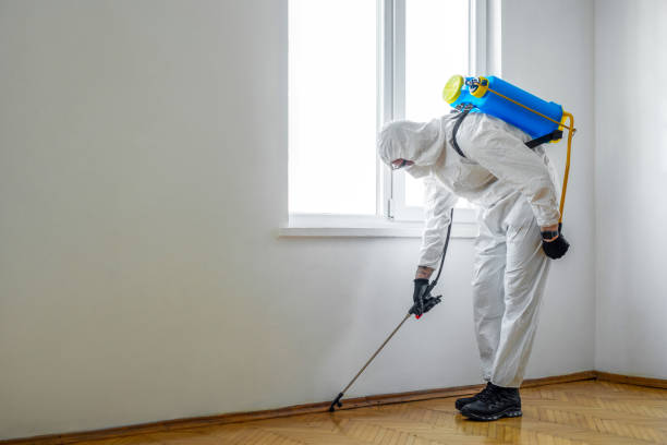 Best Termite Control Services  in Belmont, VA