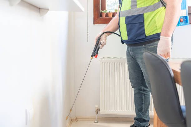 Best Flea Control Services  in Belmont, VA