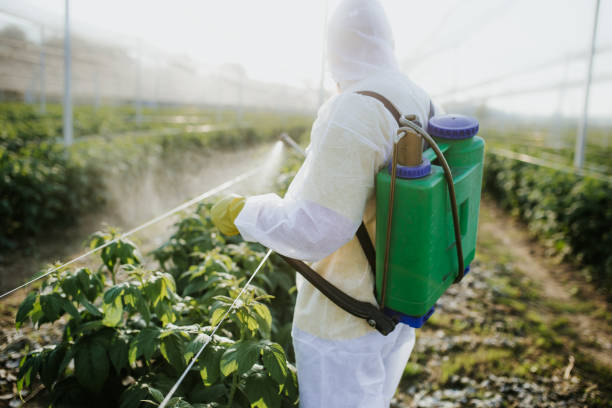 Best Affordable Pest Control Services  in Belmont, VA